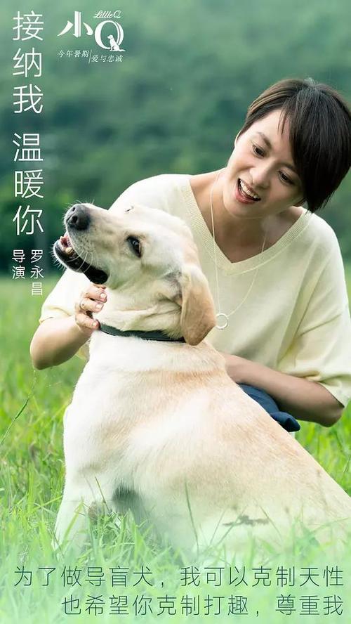 日本赤十字トヨタ看護大学机械工程文凭证书